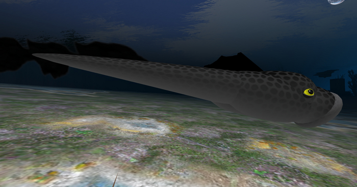 (7S) Uncommon Fish: Gray Lamprey