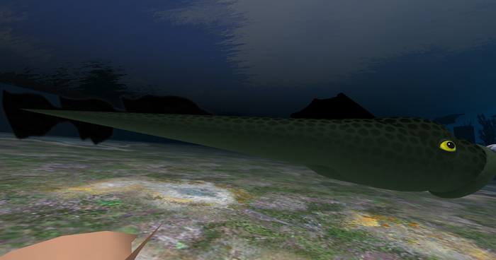 (7S) Uncommon Fish: Green Lamprey