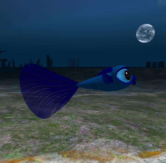 (7S) Common Fish: Blue Guppy
