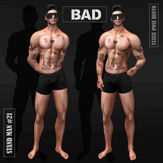 [BAD] Stand Man #21 (Static pose Bento)