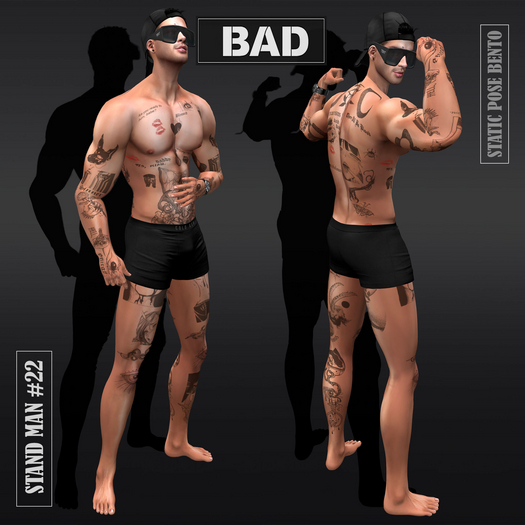 [BAD] Stand Man #22 (Static pose Bento)