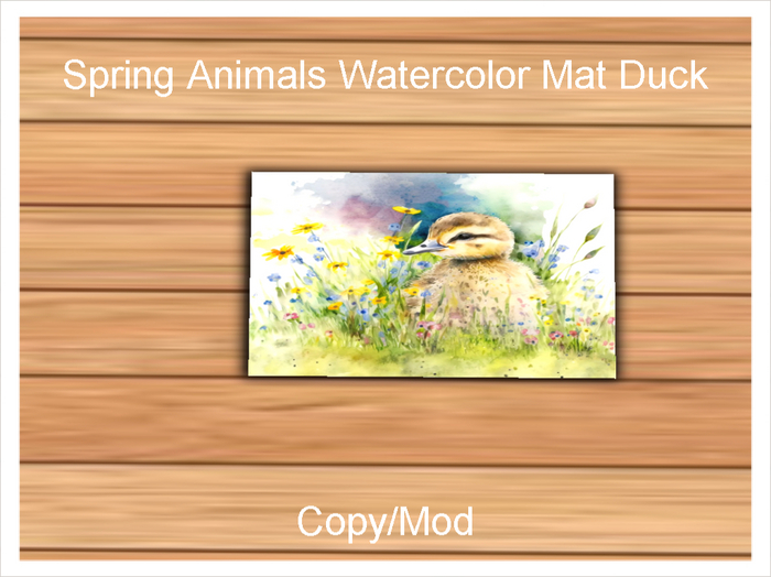 *CC* Spring Animals Watercolor Mat Duck