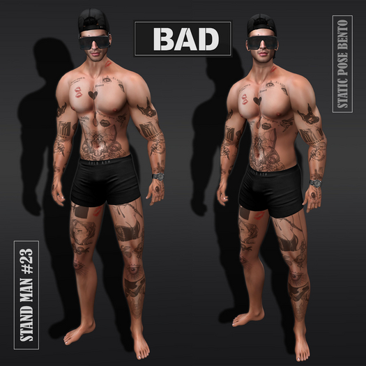 [BAD] Stand Man #23 (Static pose Bento)