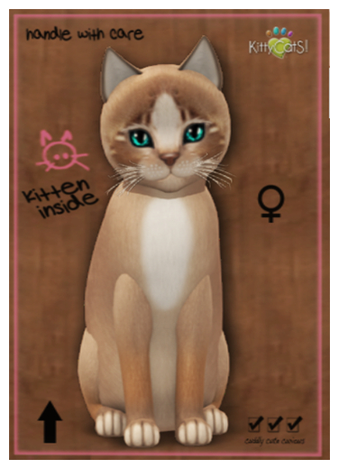 KittyCatS Box - Genesis - Mocha II - Female - Aqua eyes