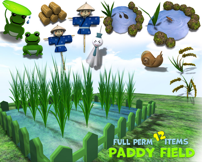 Paddy Field
