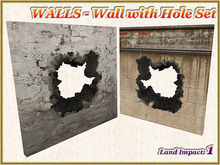 WALLS - Wall with Hole Set (1 LI) (Full perm)