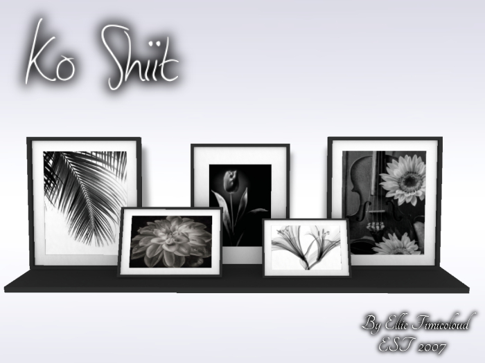 [KO SHIIT] Clara Photo Shelf