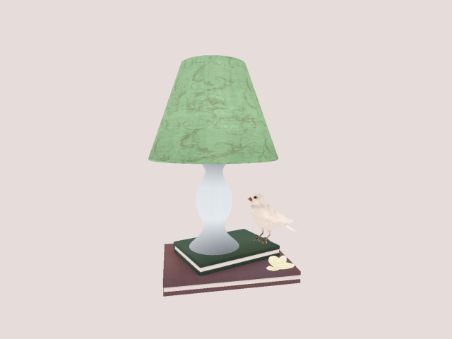 Lamp On Books/ Light On/Off