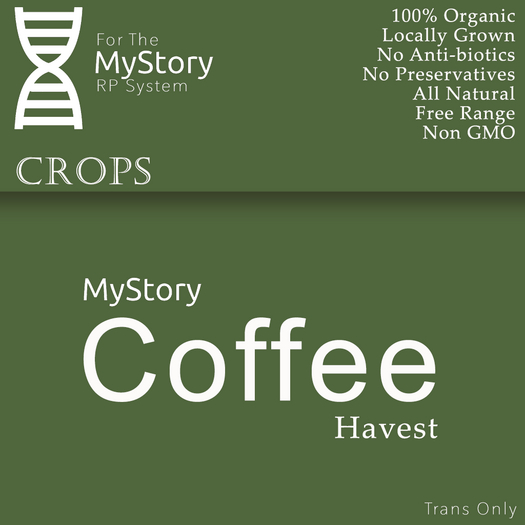 Coffee Havest - [MyStory]
