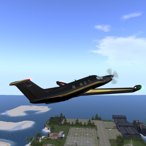 Paint D-Naly Black/Gold