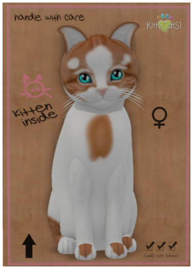 Cutie KittyCatS - Genesis Flame V Female & Water Eyes