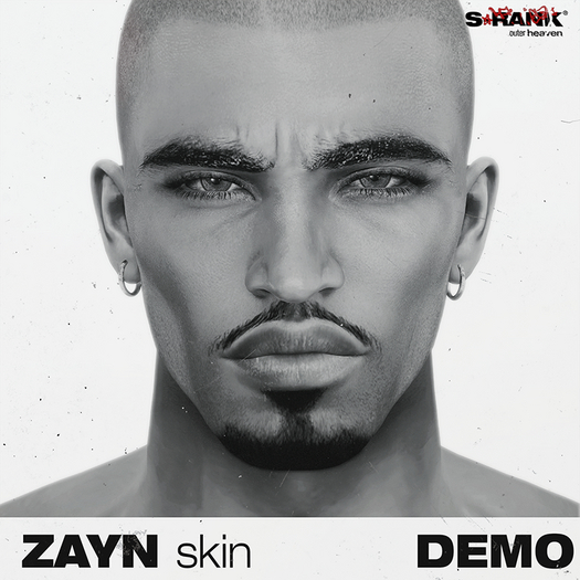 *DEMO* S-RANK "ZAYN" SKIN