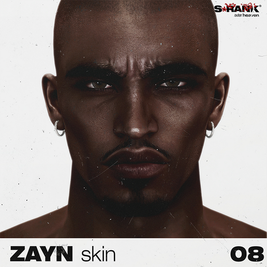 S-RANK "ZAYN" SKIN / TONE 08