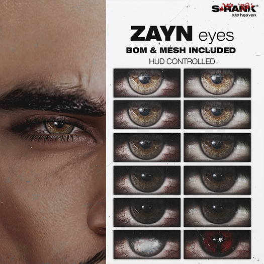 S-RANK "ZAYN" EYES