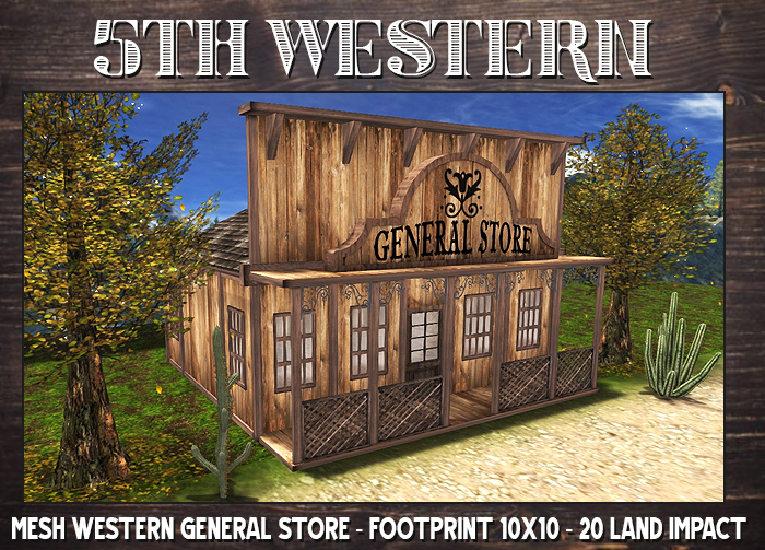 5TH~ Mesh Western Building General Store - 2023 -