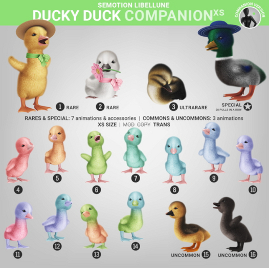 SEmotion Libellune Ducky Duck XS Companion RARE 01