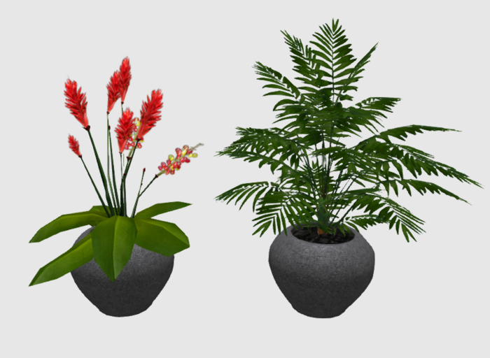 Two Potted Plants in Dark Textured Pots
