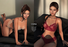 OSMIA - Dakota Striped Lace G-string Fullpack
