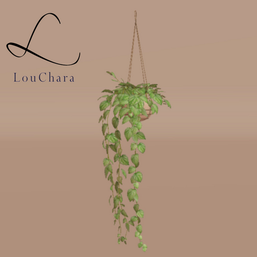 LouChara Maeve Hanging Plant 