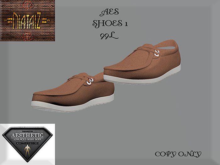 AES Boat SHOES 1