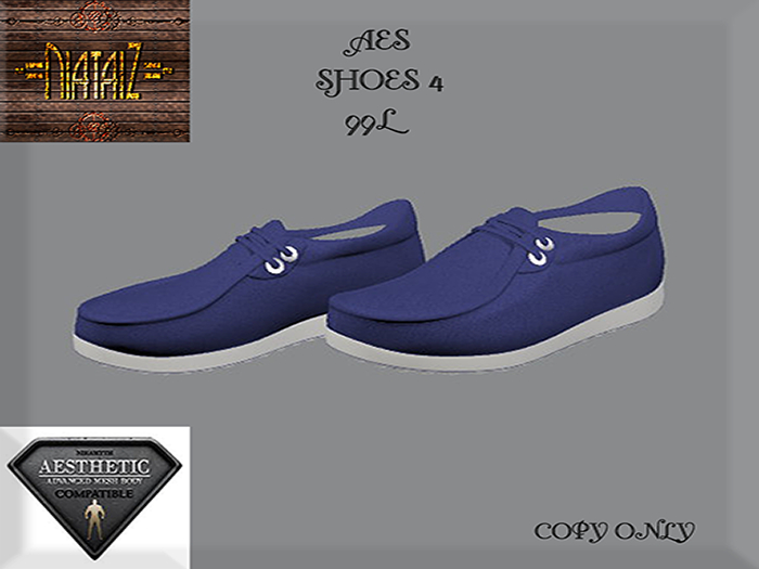 AES Boat SHOES 4