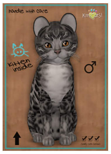 KittyCatS Cutie - Bengal - Charcoal - male
