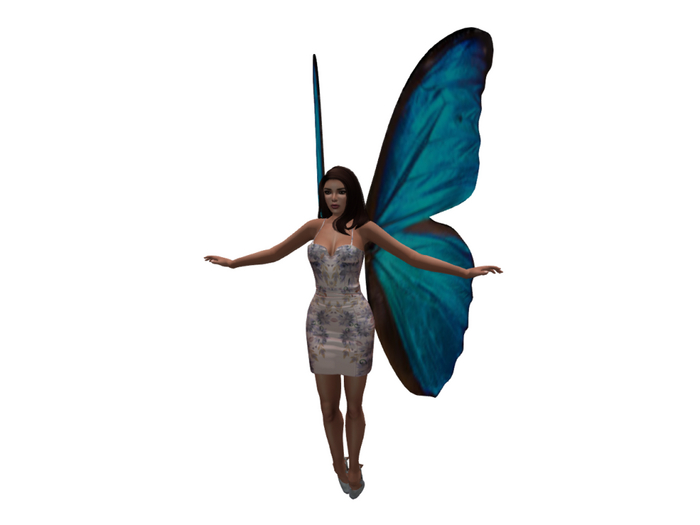 fairy wings