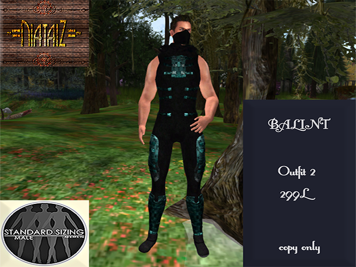 BALINT Ninja 2