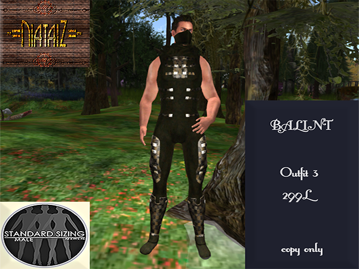 BALINT Ninja 3
