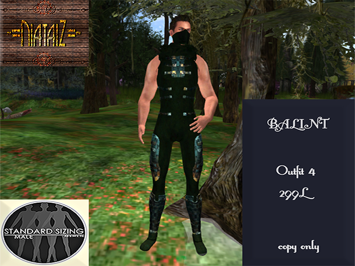 BALINT Ninja 4