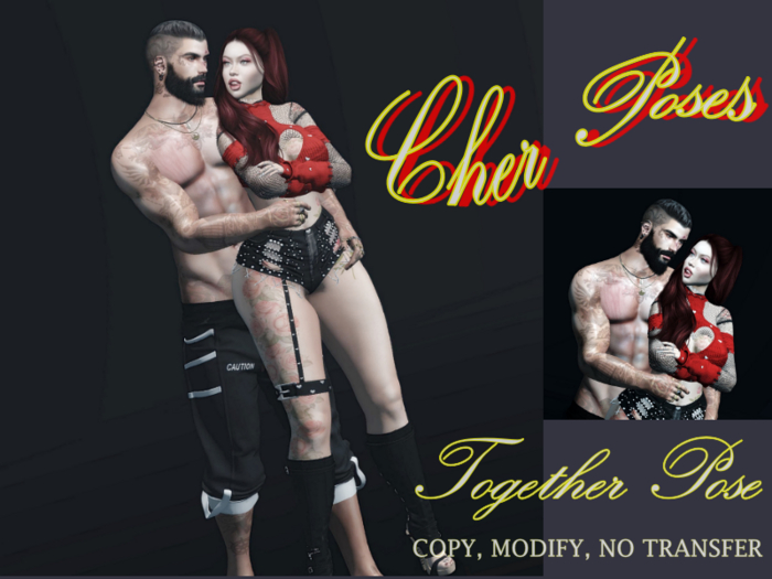 Cher Poses - Together Pose BOX