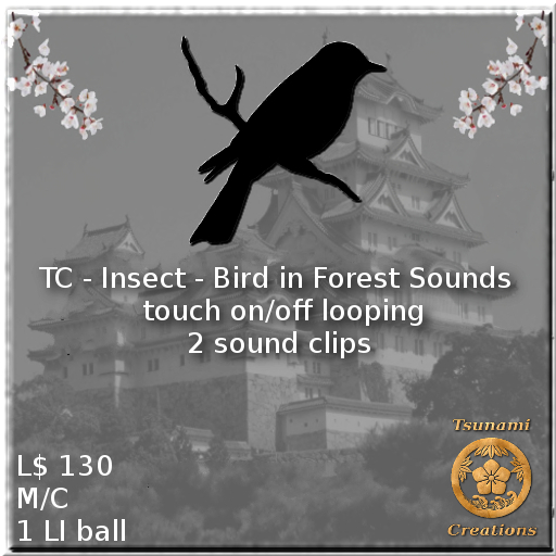 Insect - Bird in Forest Sounds