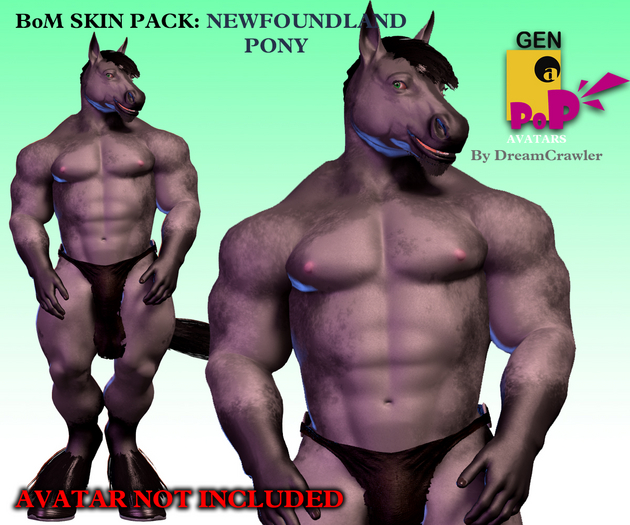 GENaPOP Horse Texture Pack [NEWFOUNDLAND PONY]