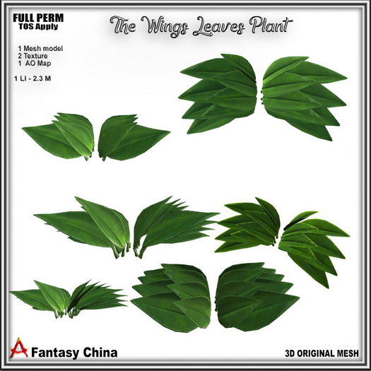 Full Perm The Wings Leaves Plant 