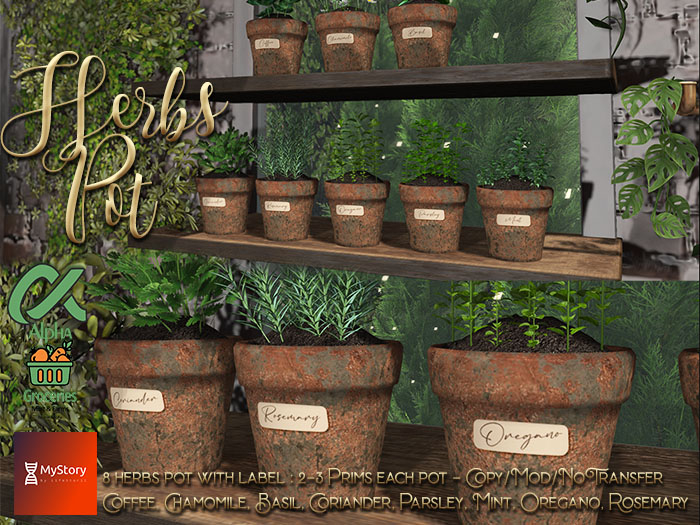 Alphamart: Herbs Pot WIth Label [ADD]
