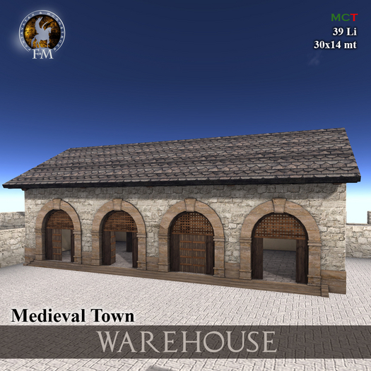 F&M * Medieval Town Building 