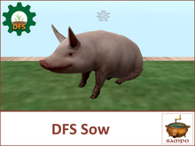 DFS Sow