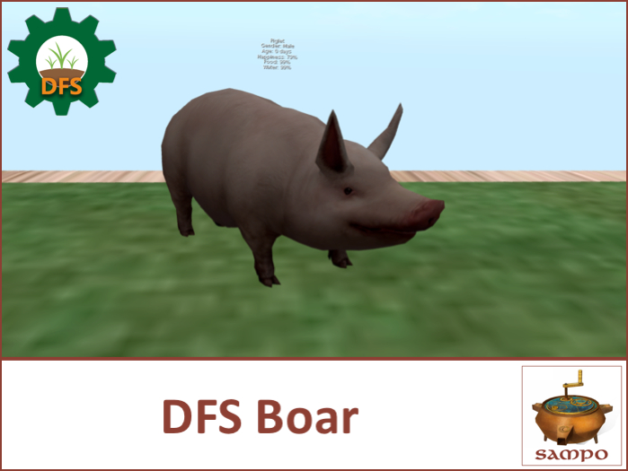DFS Boar