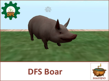 DFS Boar