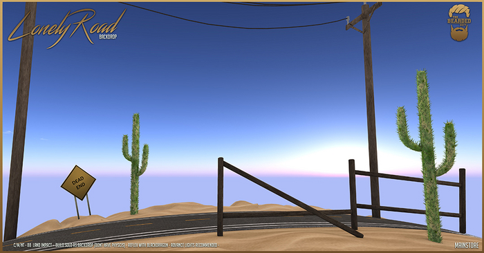 Lonely Road Backdrop - The Bearded Guy