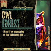 Sounds Great! Single Controller - Owl Forest