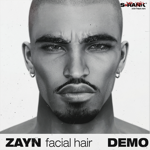 *DEMO* S-RANK "ZAYN" FACIAL HAIR
