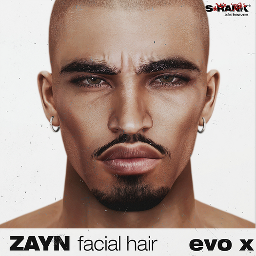 S-RANK "ZAYN" FACIAL HAIR