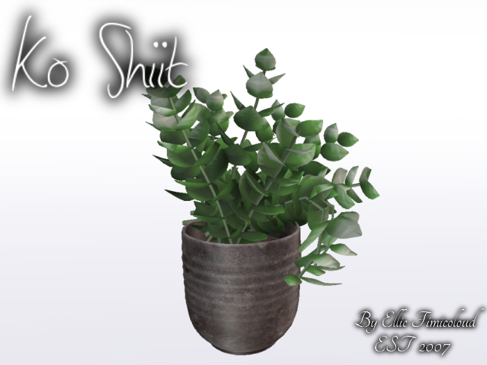 [KO SHIIT] Emma Kitchen Greens