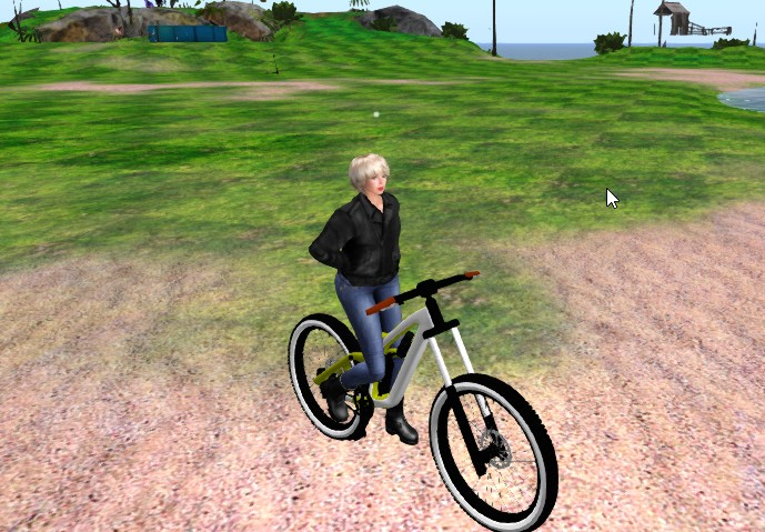 Bicycle Mountain (WEAR)