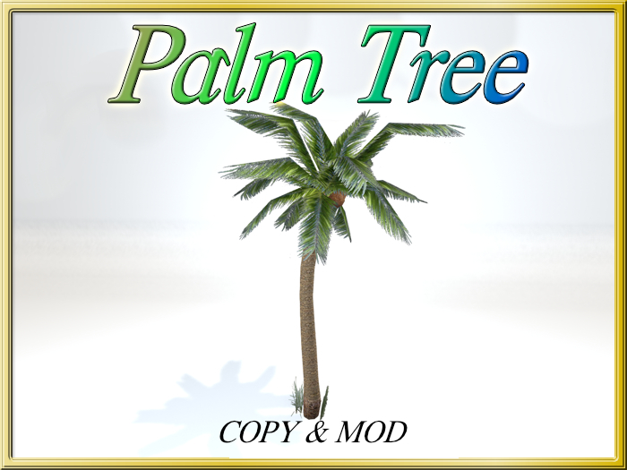 [RS] Palm Tree - (Mesh) (Copy/Mod)