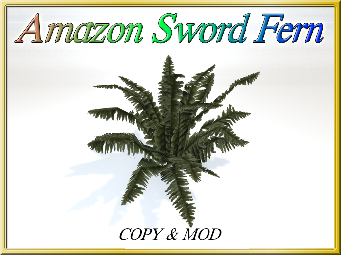 [RS] Amazon Sword Fern - (Mesh) (Copy/Mod)