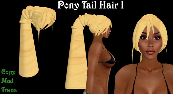 Pony Tail Hair 1