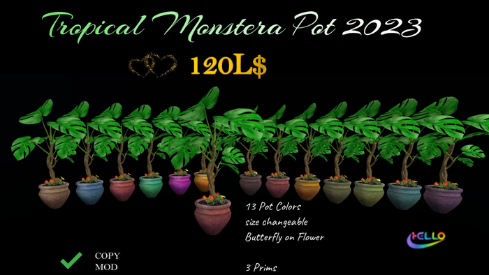 Tropical Monstera 2023