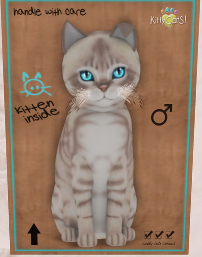 Meow Manor-Australian Mist - Lilac Marble